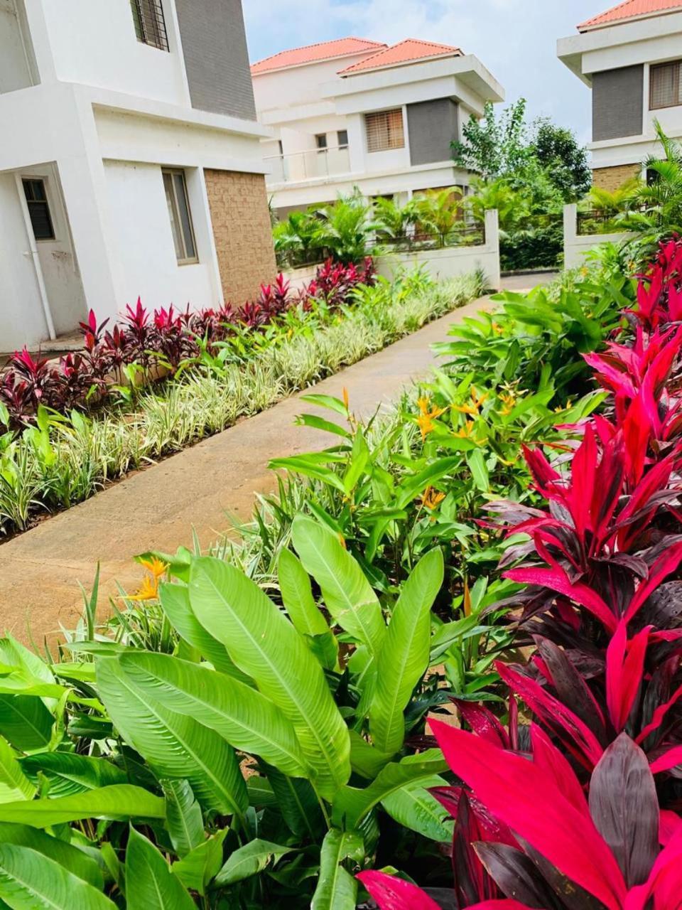 Mizzle Exotica Lonavala Apartment Ngoại thất bức ảnh
